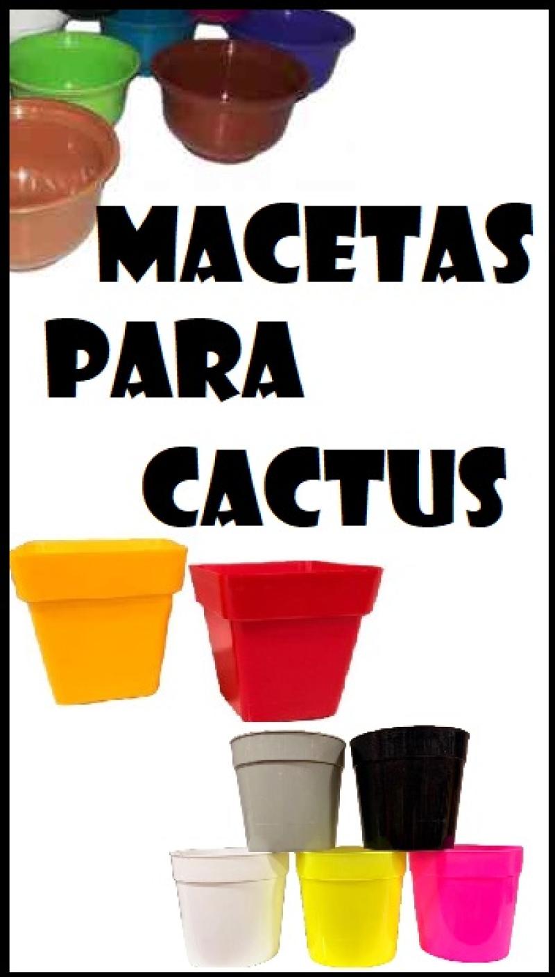 MACETAS PARA CACTUS
